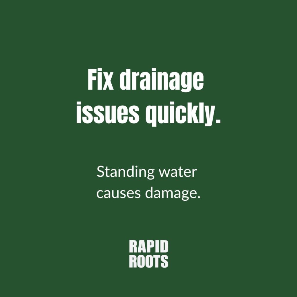 Instagram post from rapidrootszw. This post is in position 0.