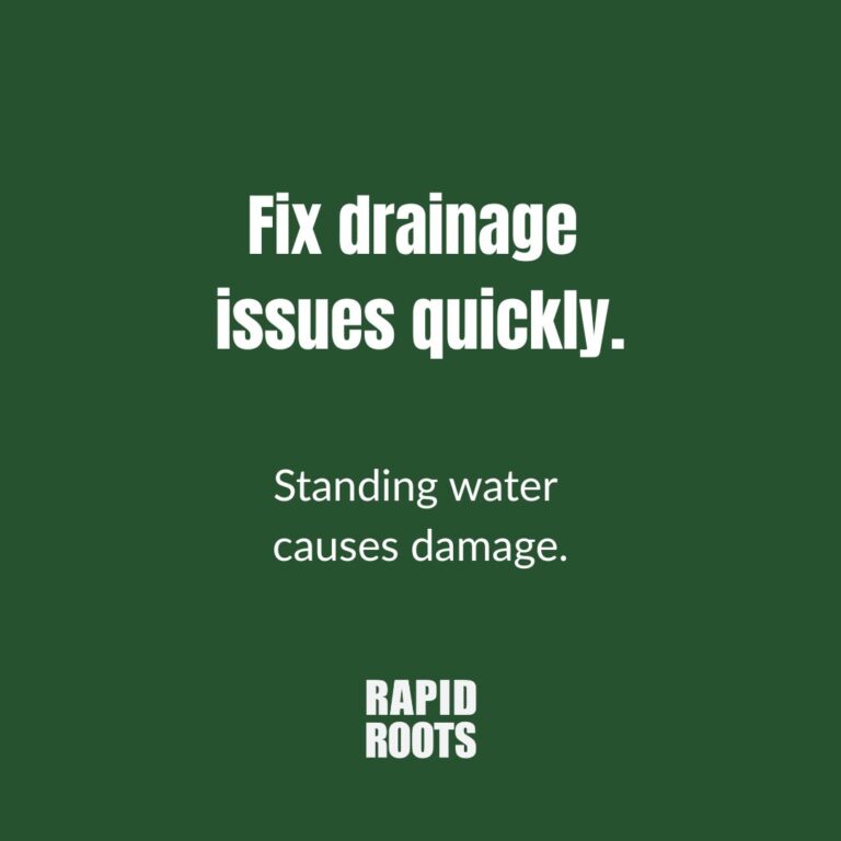 Instagram post from rapidrootszw. This post is in position 1.