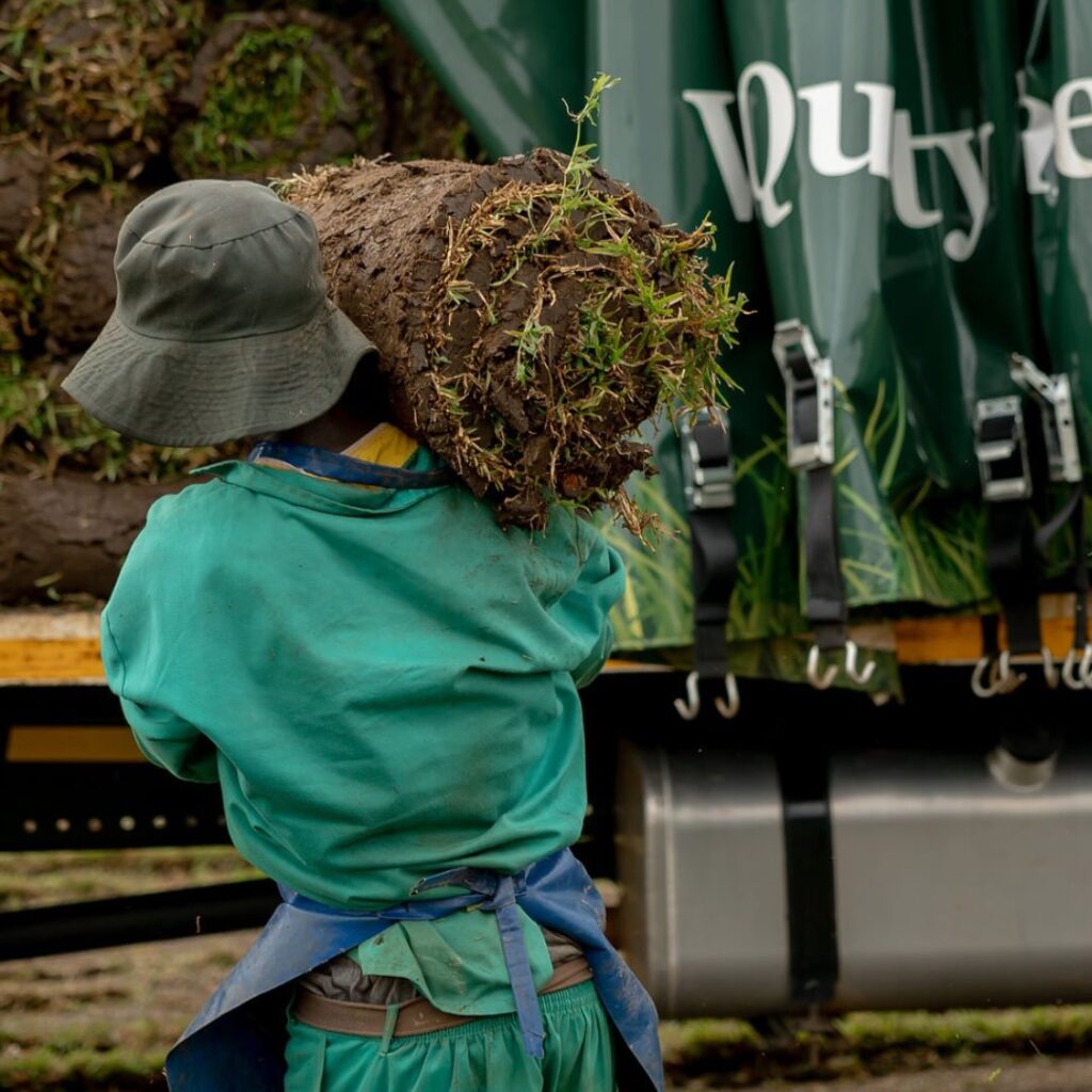 Instagram post from rapidrootszw. This post is in position 2.